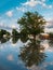 Tree Reflection in Flooded Neighborhood