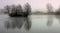 Tree reflection on lake