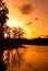 Tree reflection in lake with dramatic sky