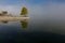 Tree reflection on Lake Pamvotis on misty morning, Ioannina, Greece