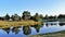 Tree Reflection on Pond