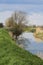 Tree Reflection In The River Brue Near Glastonbury, Somerset, UK