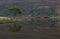 tree reflections at Lake Crummock, Lake District