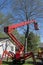 Tree Removal, Arbor Home Maintenance
