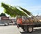 Tree Removal Service Towing Away Damaged Trees on Truck Vehicle