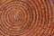 Tree ring detail on the cross section of a cut log