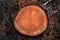 Tree rings on a cut log in a conifer forest