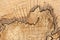 Tree rings and interesting wooden lines