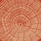 Tree Rings Red Textured Background