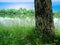 Tree, river and sky