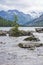 Tree on a rock in the water, Altai mountains, Multinskoe lake