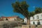 Tree on rocky ground in front of cross and old houses