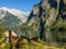 Tree root at the mountain lake in Berchtesgaden