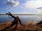 Tree root standing at lake shore