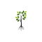 Tree with the roots, green spring tree vector illustration