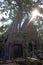 Tree roots growing out of stone entrance to angkor wat city of khmer civilisation, cambodia, sun shining through canopy