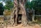 A tree roots hugging the Khmer building, Ta Som Prasat Ta Saom