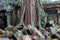 Tree roots jungle ancient Ta Prohm temple, Cambodia