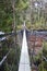 Tree rope bridge