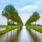 Tree rows on the canal sides and reflection on water near Amsterdam. Netherlands