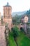 The tree in The ruin tower of Heidelberg castle in Heidelberg