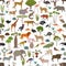 Tree savanna and grass savanna biome, natural region seamless pattern. Woodland and grassland savannah, prarie, pampa. Animals,