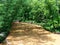 Tree Shadow Reflections on Big Elkin Creek