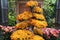 A tree shape arrangement of the orange Cascade Mum `Momijigari`