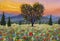 tree in shape of heart, romantic sunset over a poppy meadow illustration