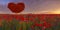Tree in the shape of a red heart on the poppy meadow-symbol of love and Valentine`s Day