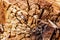 Tree shredded chips close up wooden texture. Brown detailed natural material macro old wood