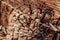 Tree shredded chips close up wooden texture. Brown detailed natural material macro old wood macro