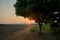 Tree silhouette and country road leading to sunset over the mountains