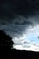 Tree Silhouette in Dark Storm Clouds