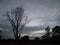 Tree silhouette landscape background with cloudy monsoon season