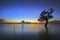 The Tree silhouette leaning over lake in Surin