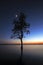 The Tree silhouette leaning over lake in Surin