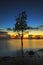 The Tree silhouette leaning over lake in Surin