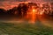 Tree silhouette with red sunbeam, dawn, autumn