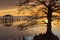 Tree Silhouette at Sunset on Currituck Sound NC