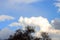 TREE SILHOUETTE UNDER LARGE GOLD TINTED CLOUD IN BLUE SKY