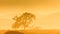 Tree silhouetted against Namibian desert dunes with yellow tones.