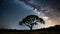 Tree silhouetted against a starry night sky