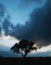Tree silhouetted and dramatic dark blue clouds