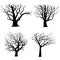 Tree Silhouettes