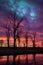 tree silhouettes against a colorful, dramatic sky