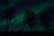 Tree silouette with aurora borealis and stars at night