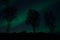 Tree silouette with aurora borealis and stars at night