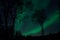 Tree silouette with aurora borealis and stars at night