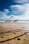 Tree Sinking in the Beach at Covehithe